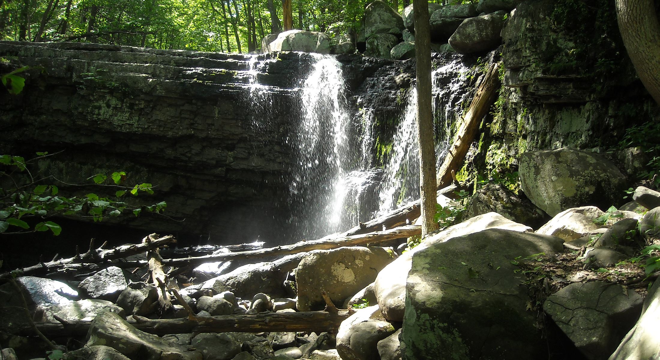 heating oil delivery parkland near the waterfalls and trails of Parkland
