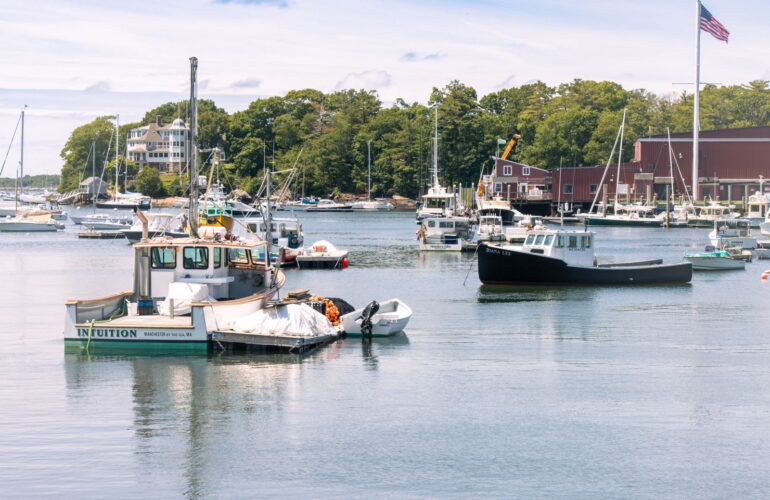 Powerboats moored at a calm bay marina on the Northeast shore
