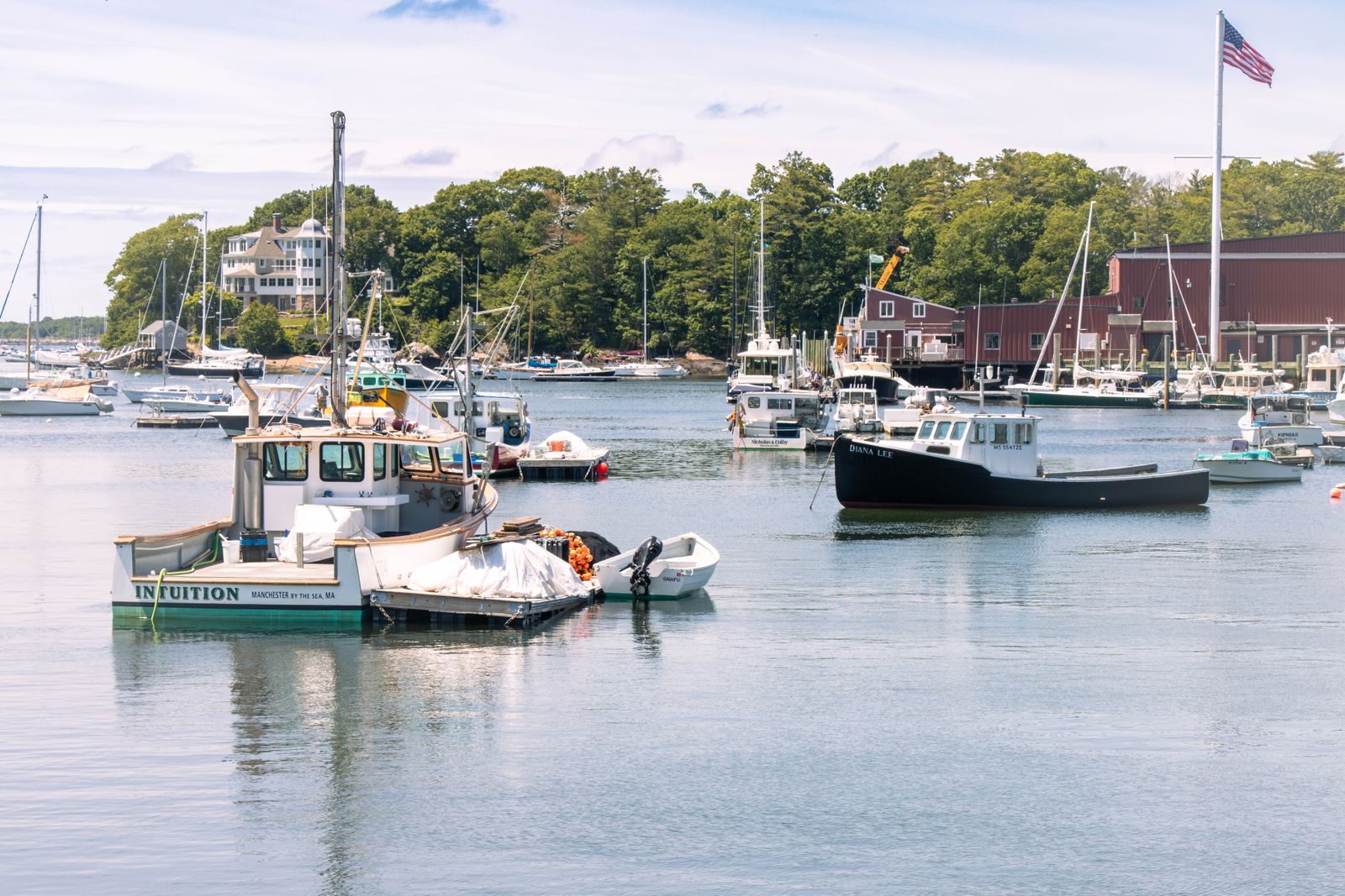 Powerboats moored at a calm bay marina on the Northeast shore
