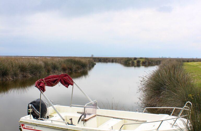 A center-console skiff moored against marsh grass on a New Jersey back bay